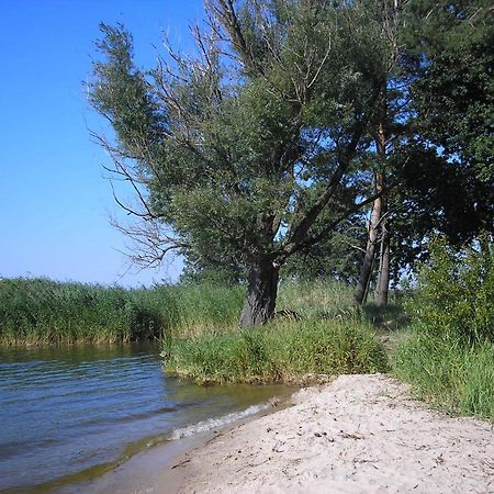 Fischerhaus Godewind 60 Qm Altwarp Экстерьер фото