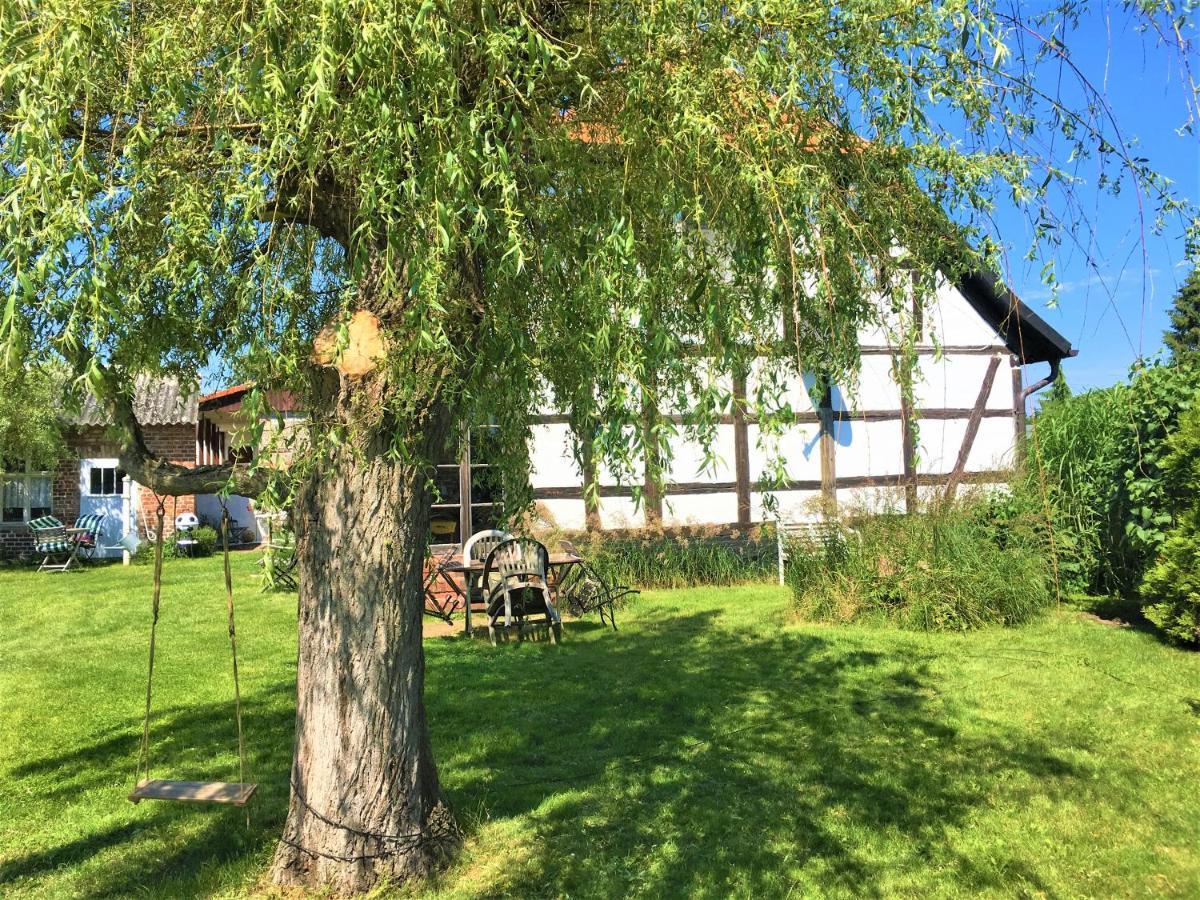 Fischerhaus Godewind 60 Qm Altwarp Экстерьер фото