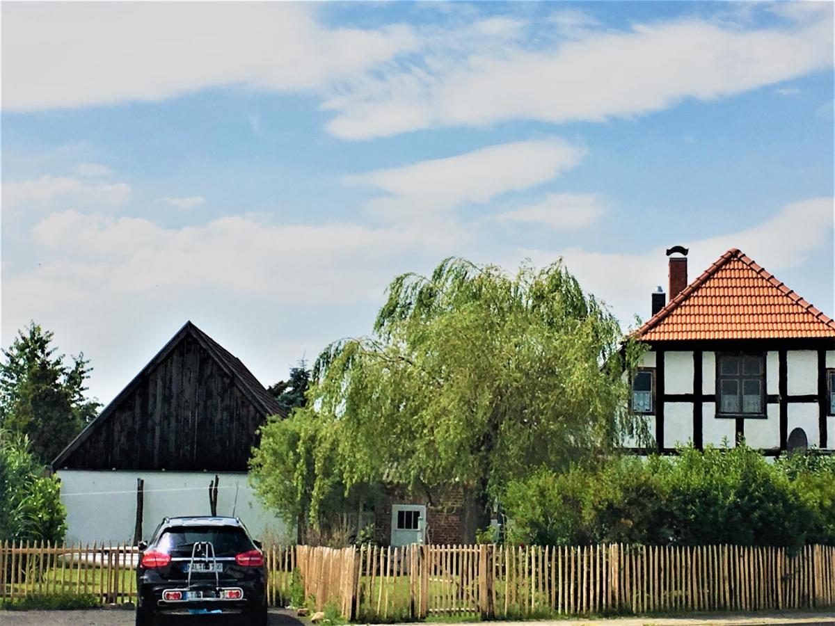 Fischerhaus Godewind 60 Qm Altwarp Экстерьер фото
